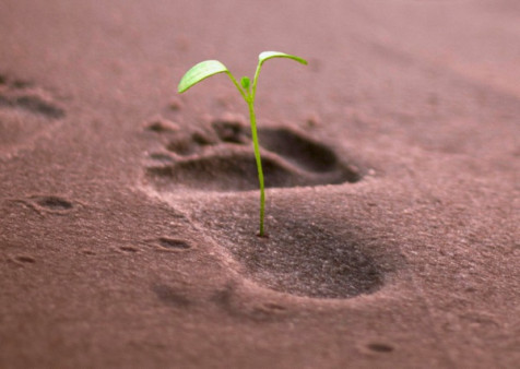 Bild zur News: Filmprojekt »Fasten für’s Klima«. Teilnehmer*innen gesucht.