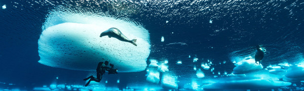Bild zur News: Letzte Plätze beim Naturfilmcamp Wattenmeer: Jetzt anmelden